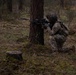 2BCT conducts CAMLFEX