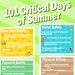 101 Critical Days of Summer