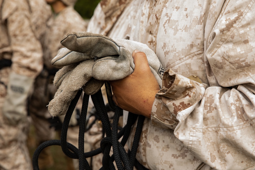 Alpha Company Rappel Tower