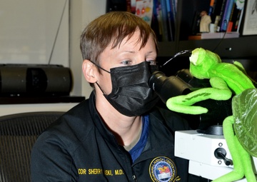 Naval Hospital Jacksonville Pathologist