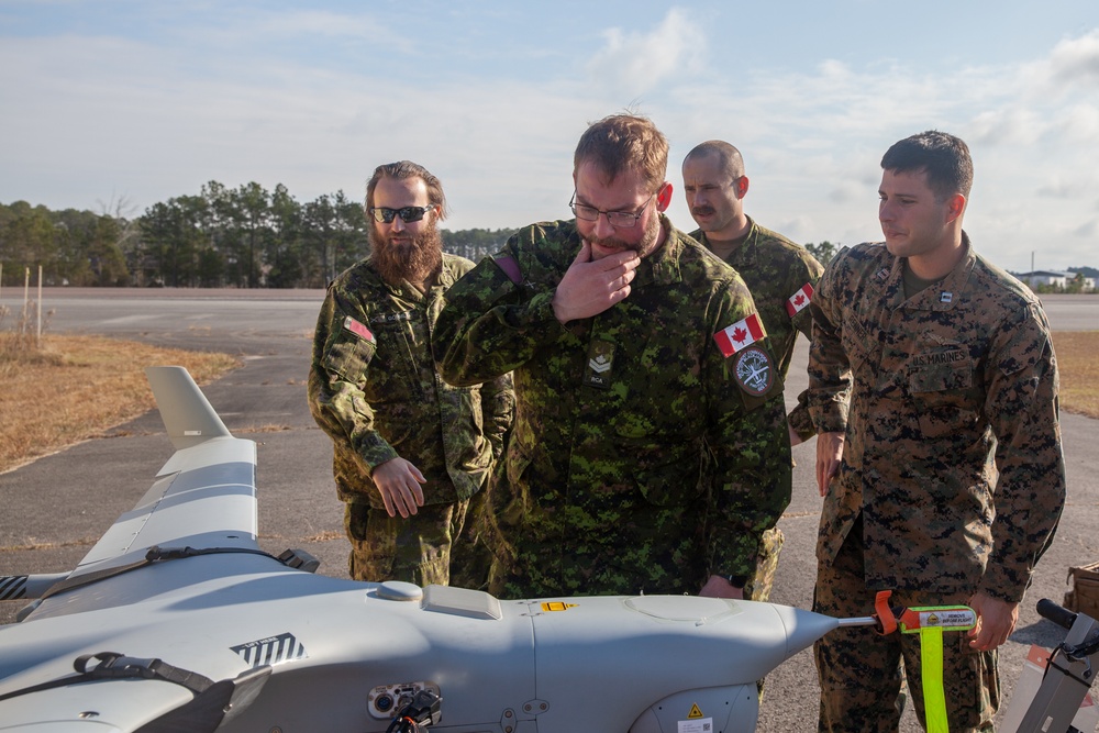 U.S. Marines work with the Canadian Army