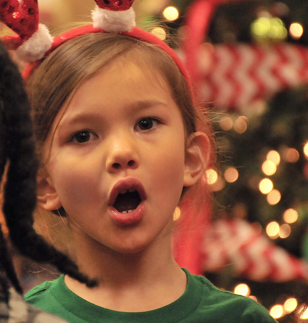 Holiday Helper event unites community in support of military families