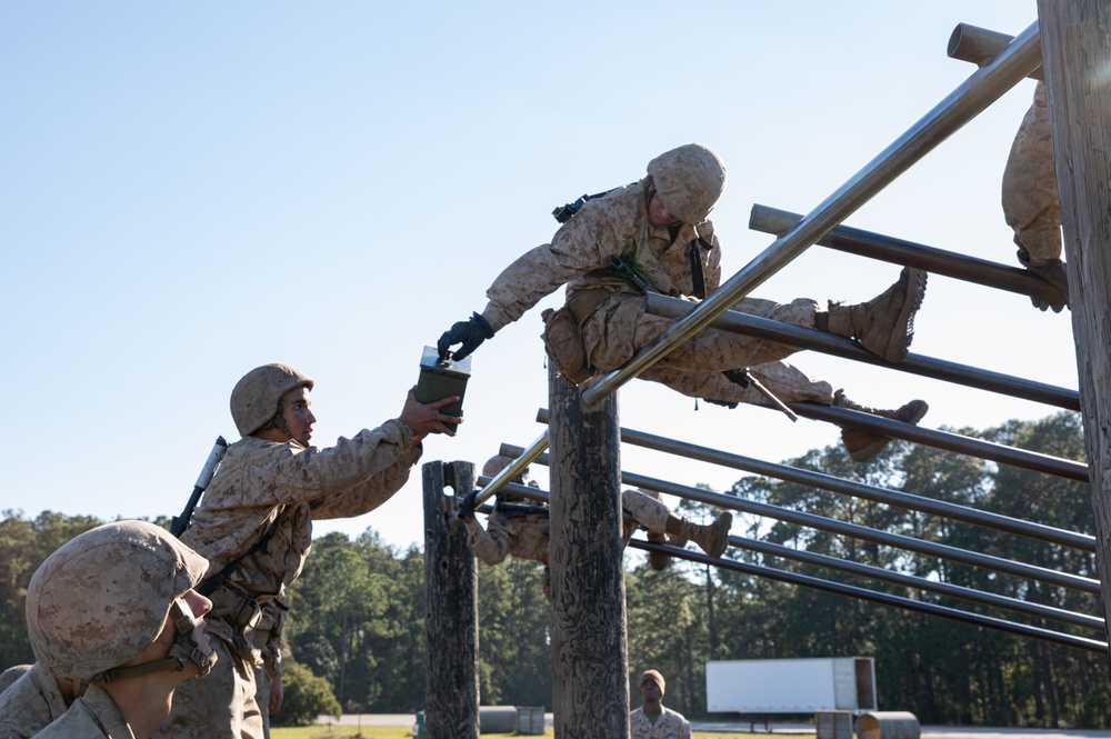 Delta Company Crucible