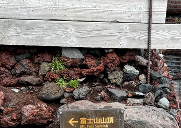 MSGs climb Mt. Fuji in Japan