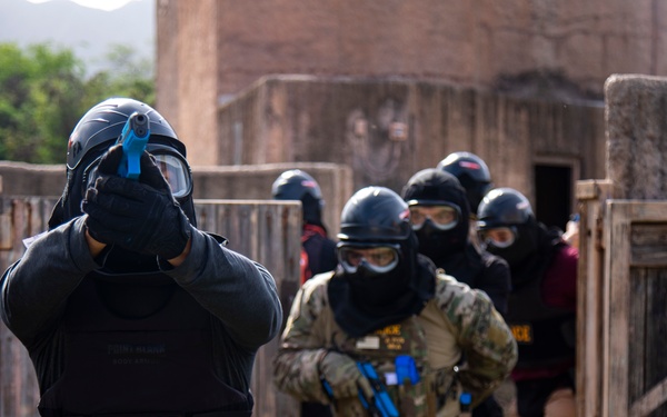 HPD MCTAB Tactics Training