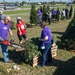Trees for Troops renews support for MacDill this holiday season