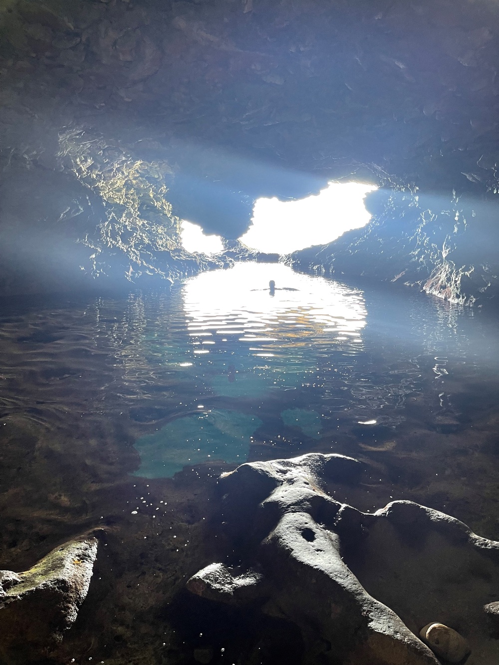 MSGs visit Animal Flower Cave in Barbados