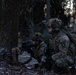 2BCT conducts CAMLFEX