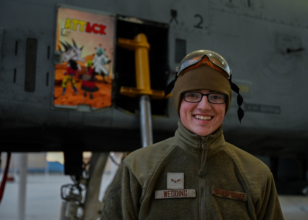 Always ready; A-10 maintenance at sunset