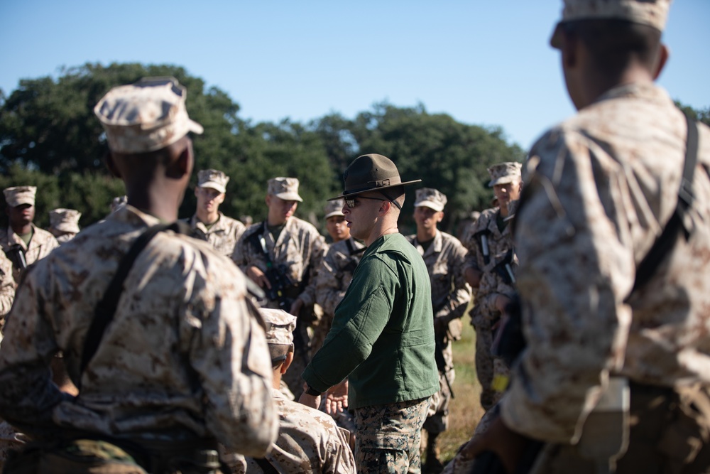 Delta Company Grass Week