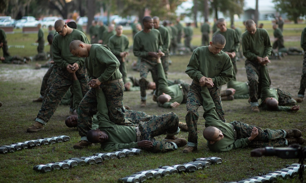 Mike Company, 3rd Recruit Training Battalion participating in the Marine Corps Martial Arts Program.