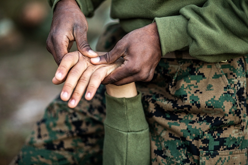 Mike Company, 3rd Recruit Training Battalion participating in the Marine Corps Martial Arts Program.