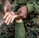 Mike Company, 3rd Recruit Training Battalion participating in the Marine Corps Martial Arts Program.