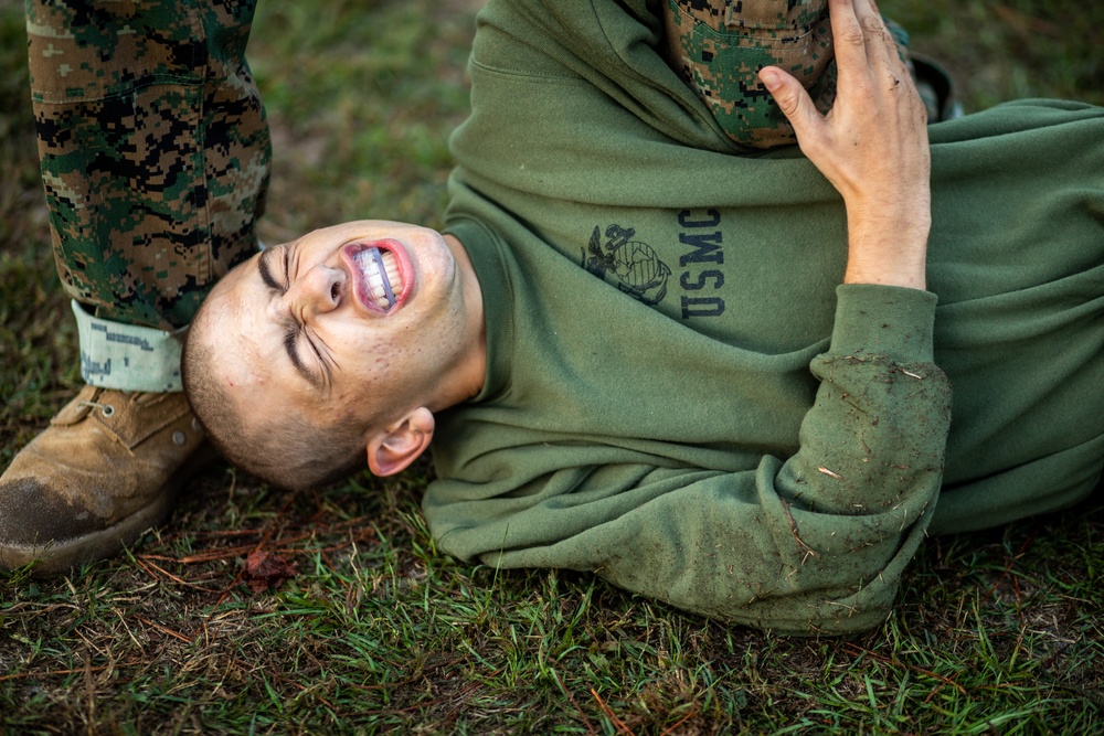 Mike Company, 3rd Recruit Training Battalion participating in the Marine Corps Martial Arts Program.