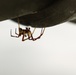 Arachnid Gets Comfortable Aboard a Portland Fire &amp; Rescue Vessel