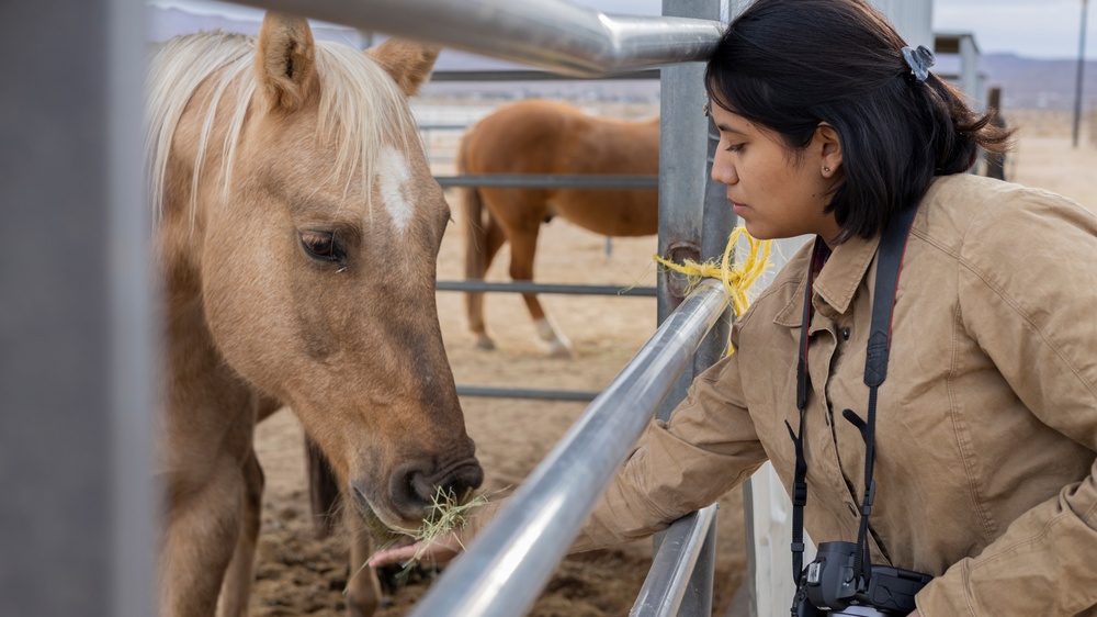 The last standing Mounted Color Guard