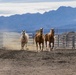 The last standing Mounted Color Guard