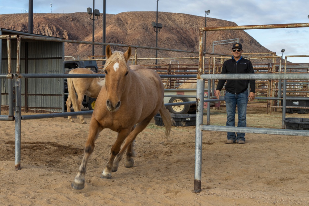 The last standing Mounted Color Guard