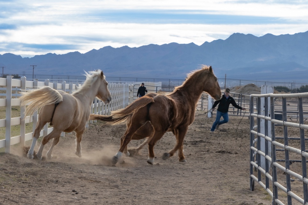 The last standing Mounted Color Guard