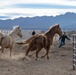 The last standing Mounted Color Guard