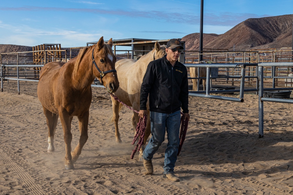 The last standing Mounted Color Guard