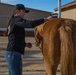 The last standing Mounted Color Guard