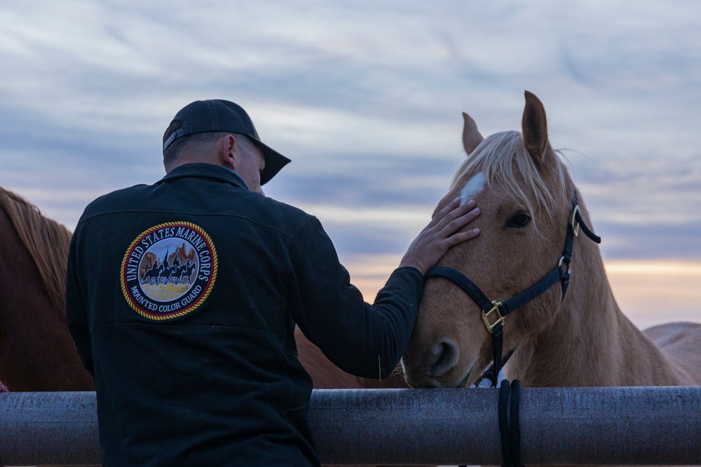 The last standing Mounted Color Guard