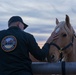 The last standing Mounted Color Guard