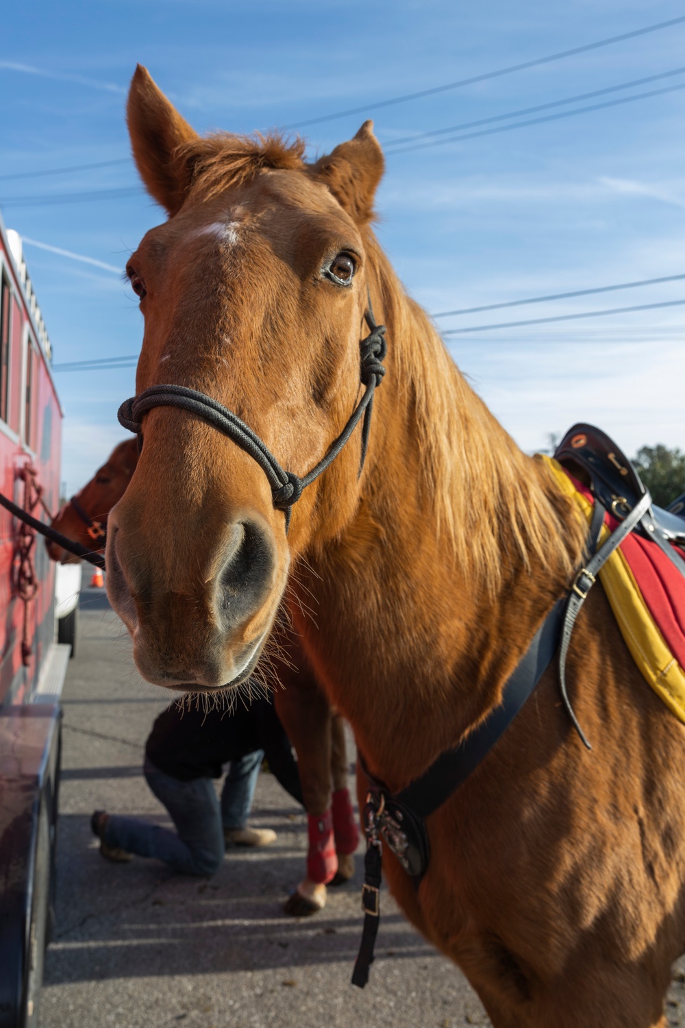 The last standing Mounted Color Guard