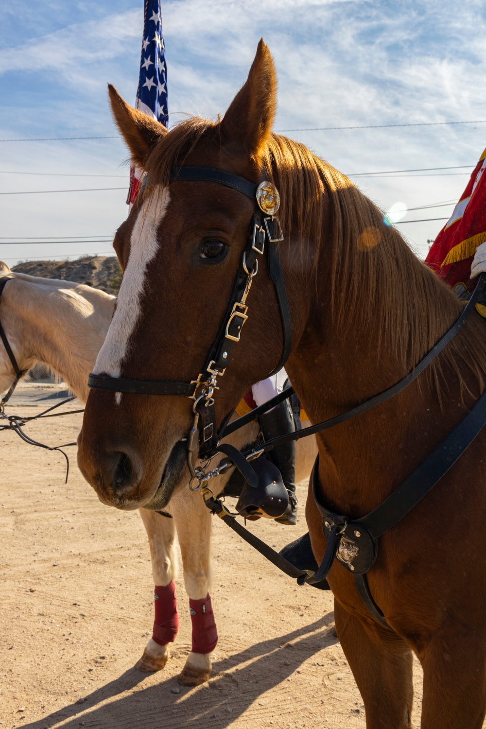 The last standing Mounted Color Guard