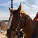 The last standing Mounted Color Guard