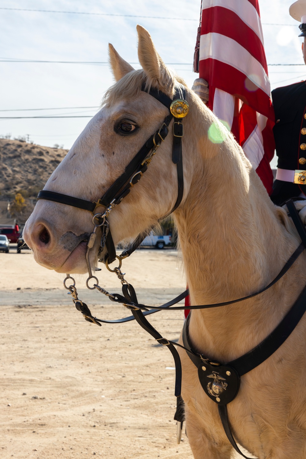 The last standing Mounted Color Guard