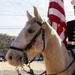 The last standing Mounted Color Guard