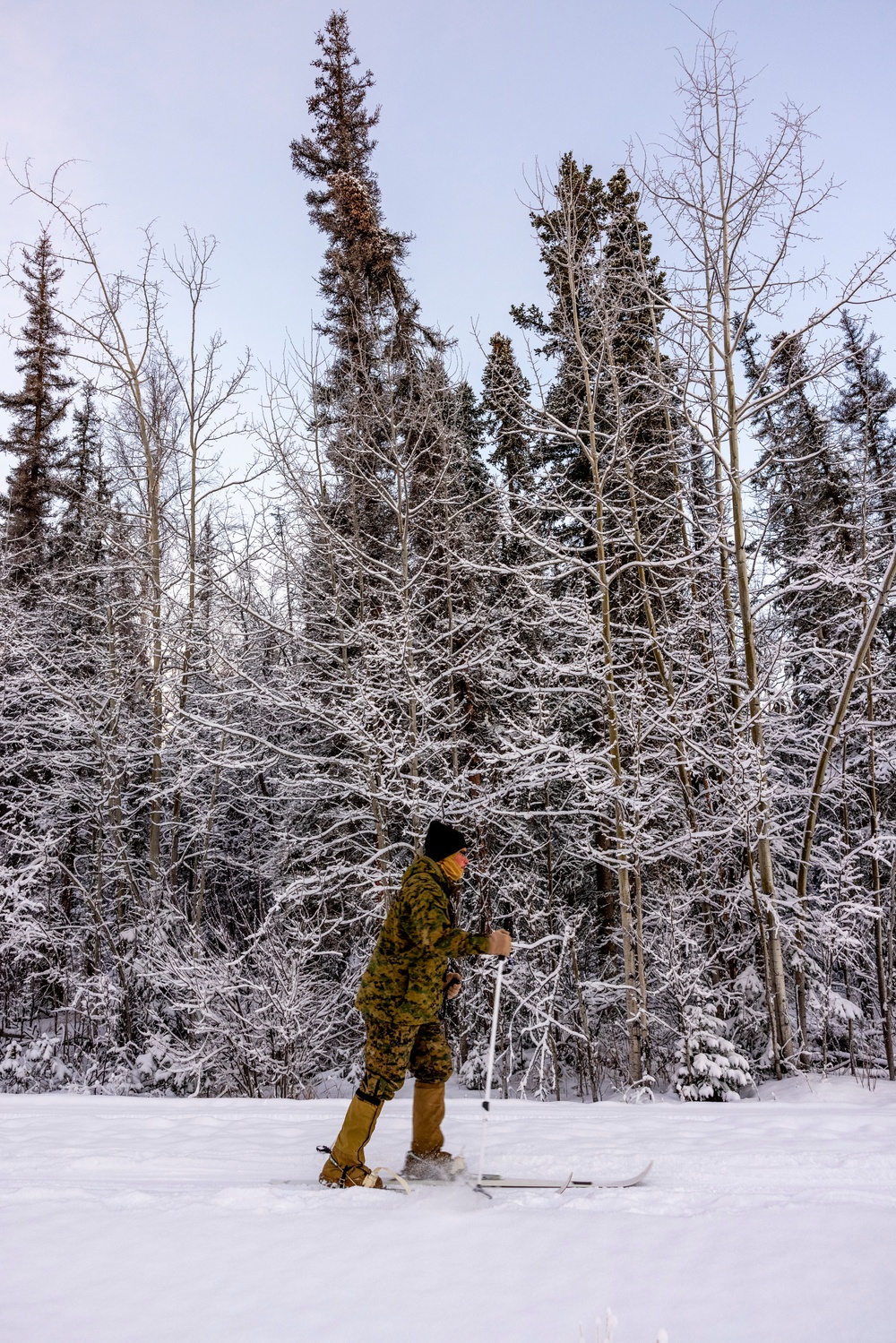 2d Reconnaissance Battalion Participates in Cold Weather Training