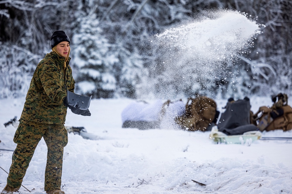 2d Reconnaissance Battalion Participates in Cold Weather Training