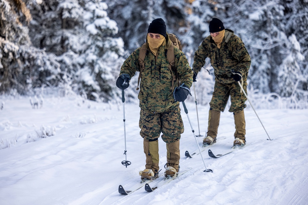 2d Reconnaissance Battalion Participates in Cold Weather Training