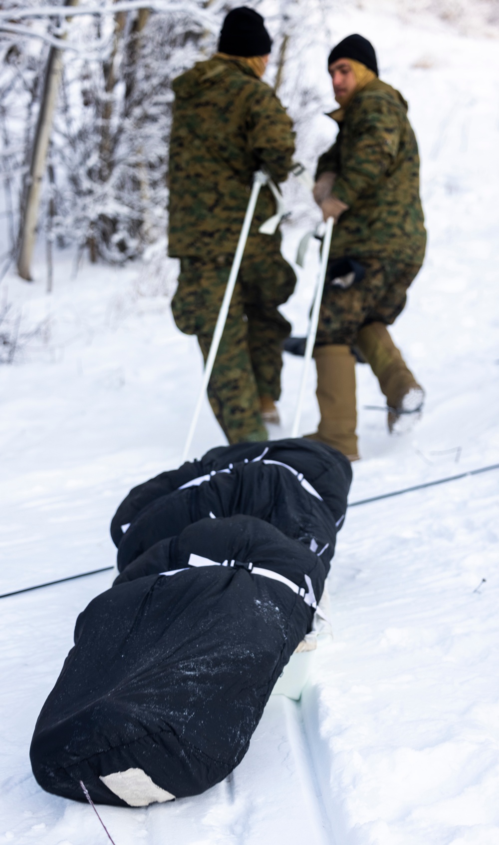 2d Reconnaissance Battalion Participates in Cold Weather Training