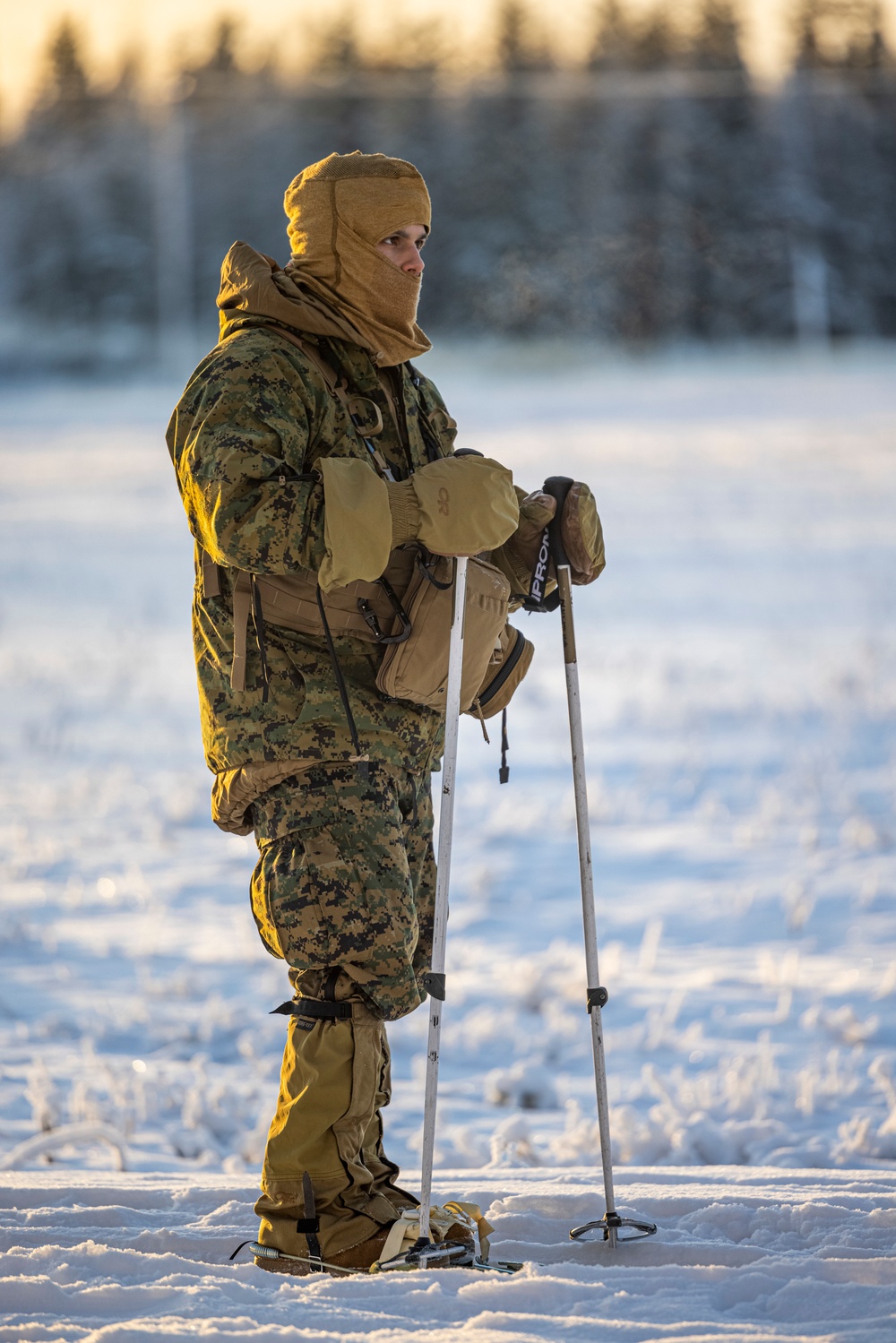 2d Reconnaissance Battalion Participates in Cold Weather Training