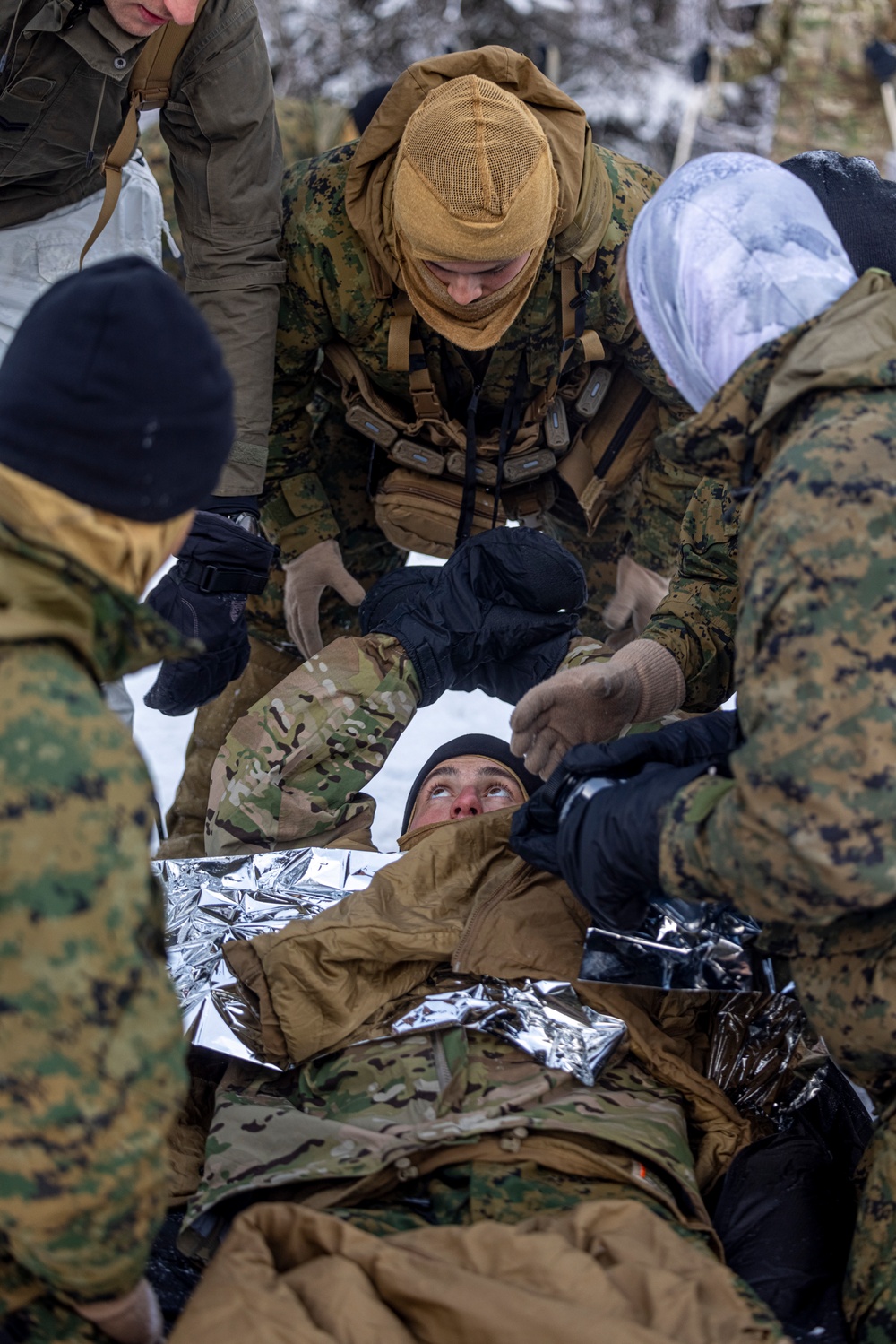 2d Reconnaissance Battalion Participates in Cold Weather Training