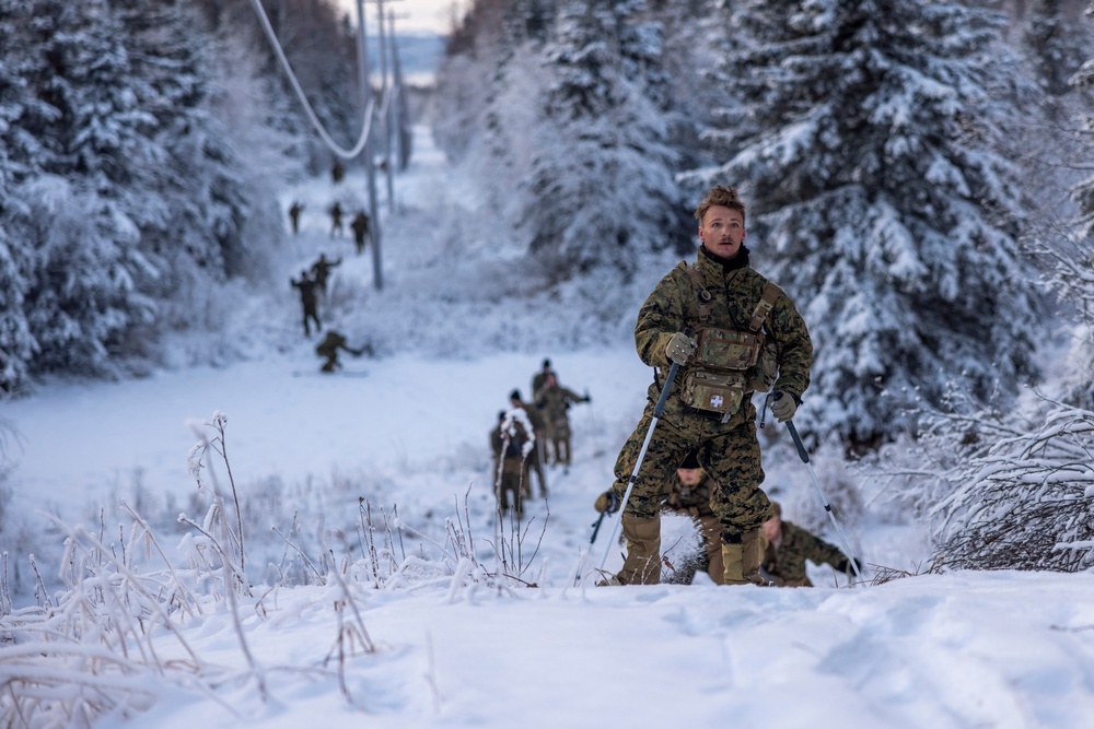 2d Reconnaissance Battalion Participates in Cold Weather Training