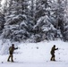 2d Reconnaissance Battalion Participates in Cold Weather Training