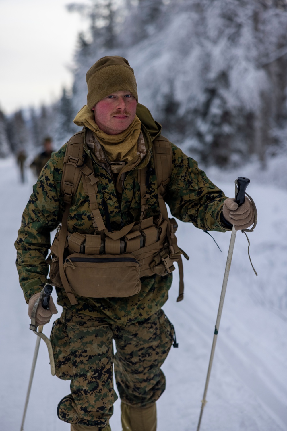 2d Reconnaissance Battalion Participates in Cold Weather Training