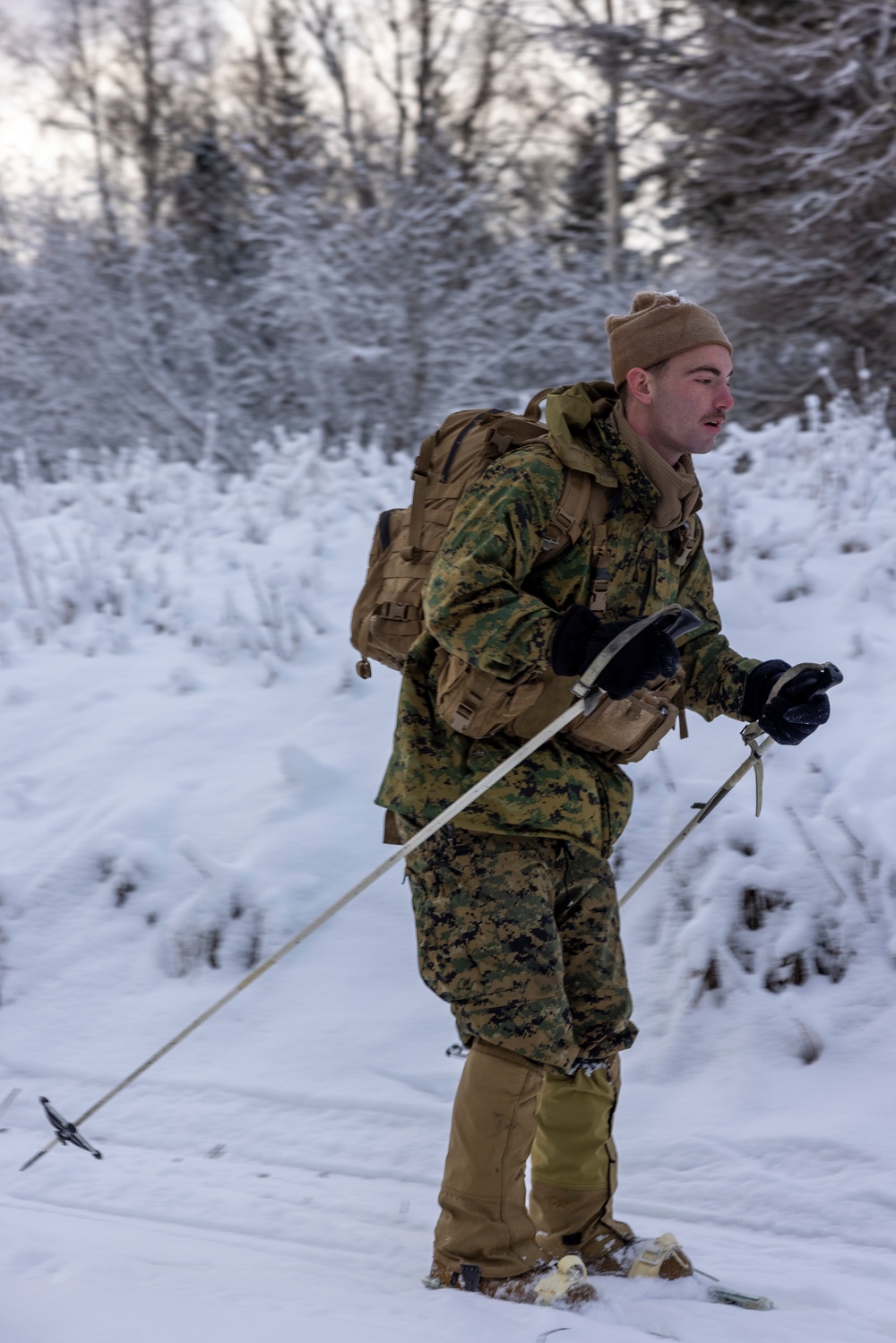 2d Reconnaissance Battalion Participates in Cold Weather Training