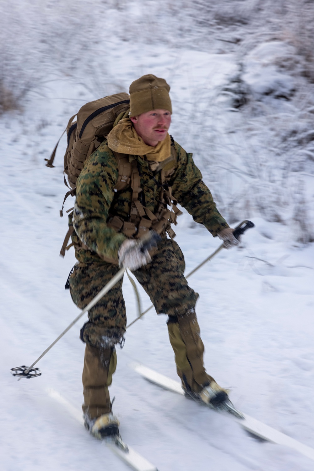 2d Reconnaissance Battalion Participates in Cold Weather Training