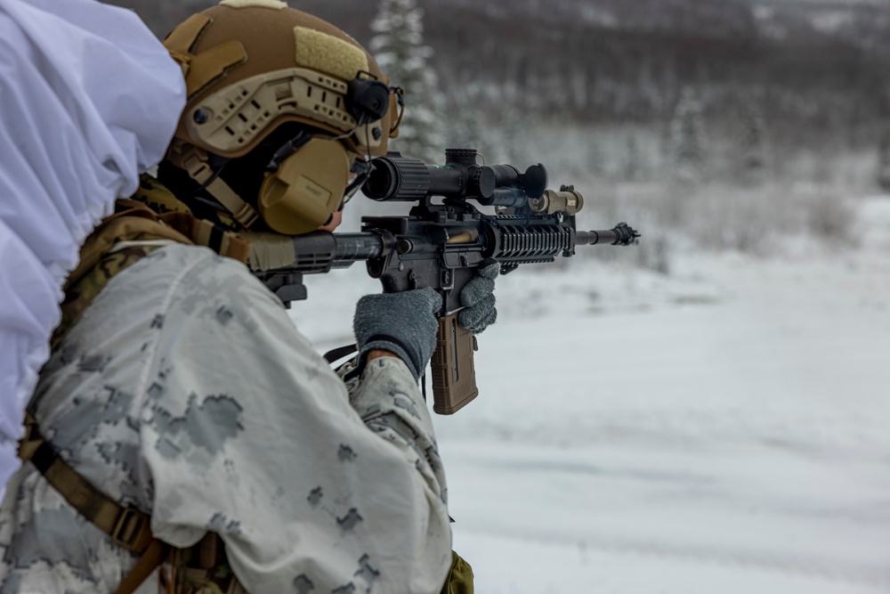 2d Reconnaissance Battalion Participates in Cold Weather Training