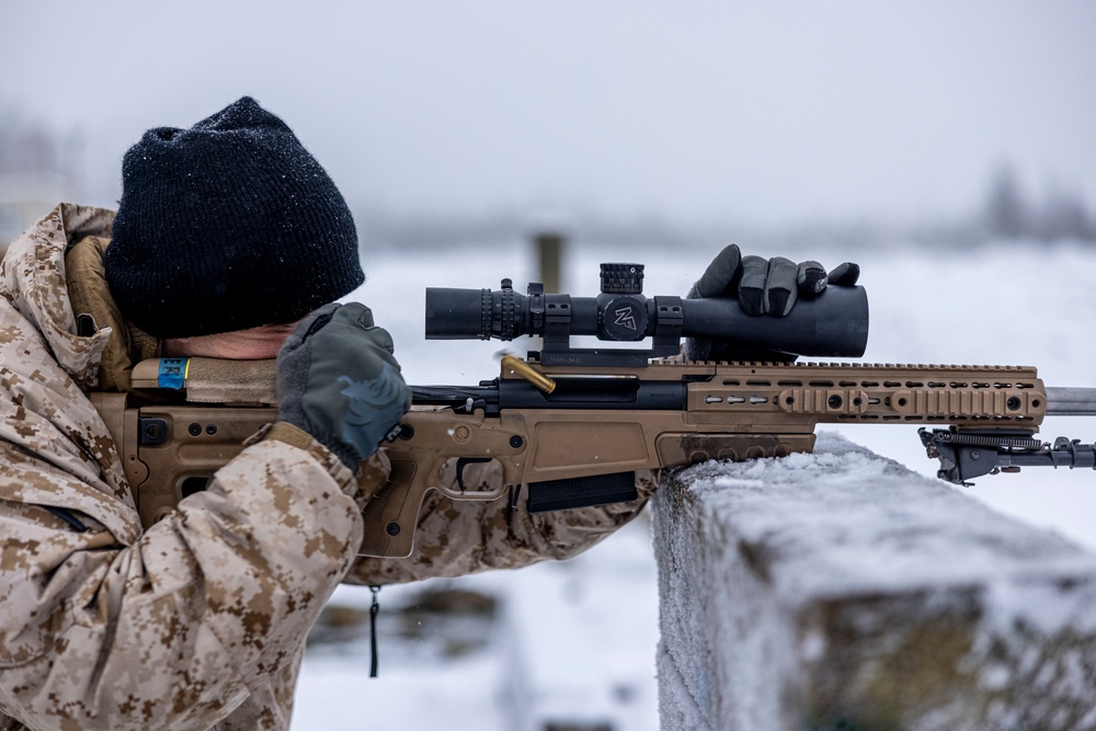 2d Reconnaissance Battalion Participates in Cold Weather Training