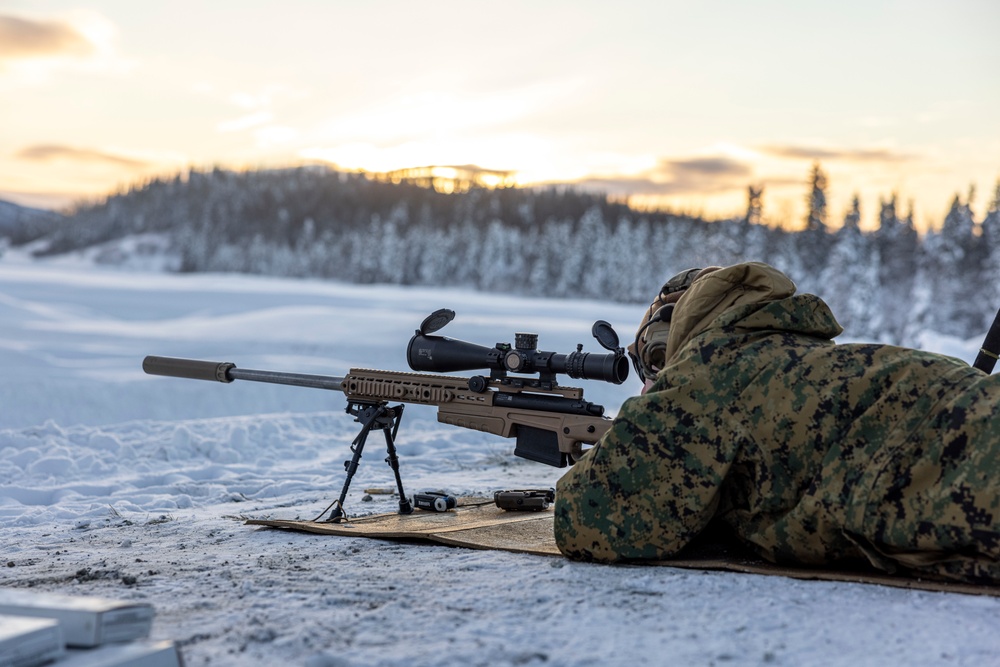 2d Reconnaissance Battalion Participates in Cold Weather Training