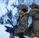 2d Reconnaissance Battalion Participates in Cold Weather Training