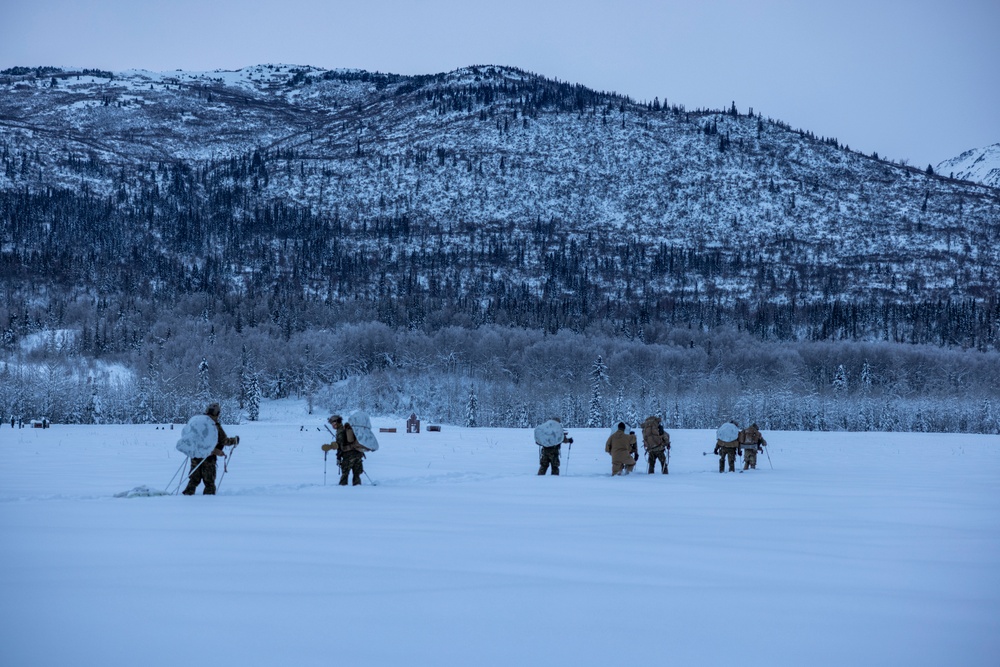 2d Reconnaissance Battalion Participates in Cold Weather Training