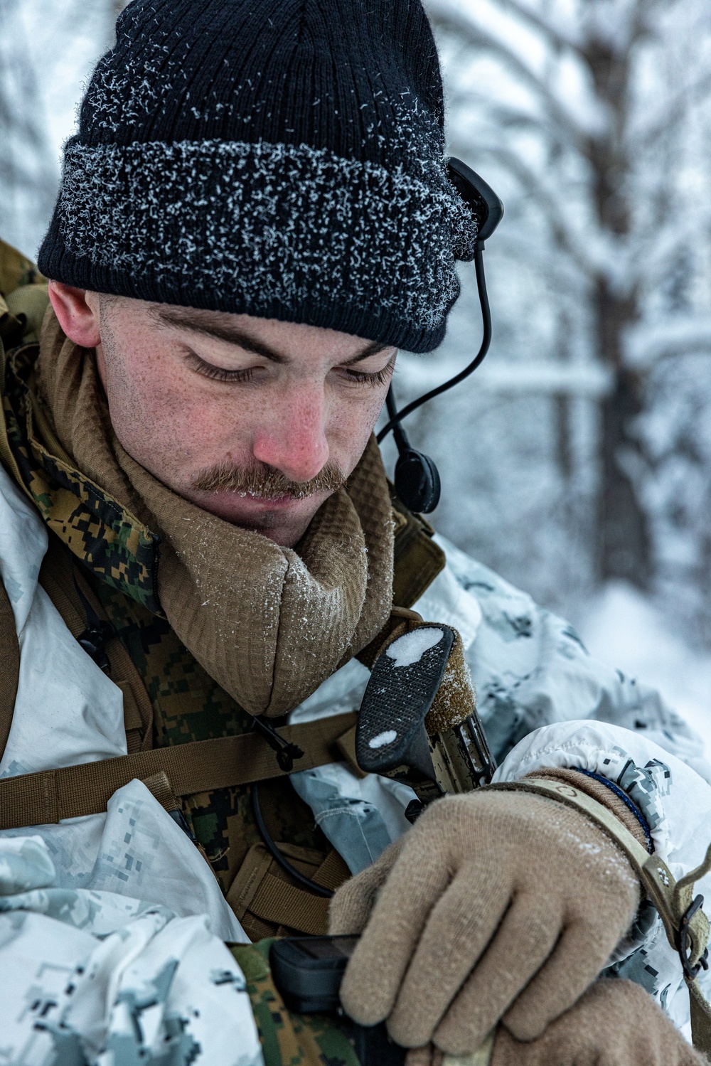 2d Reconnaissance Battalion Participates in Cold Weather Training